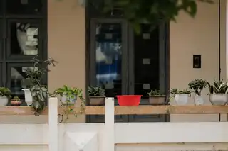 Jardinería en terrazas y balcones